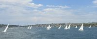 Sydney Impressionen (2) &ndash; &copy; Marcus Hasselhorst (Eberhardt TRAVEL)