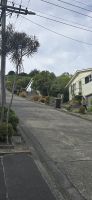 Baldwin Street (2) &ndash; &copy; Marcus Hasselhorst (Eberhardt TRAVEL)