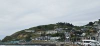 Dunedin (4)