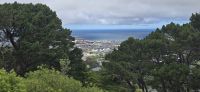 Aus und Überblicke Wellington (2) &ndash; &copy; Marcus Hasselhorst (Eberhardt TRAVEL)