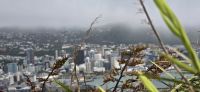 Aus und Überblicke Wellington (4) &ndash; &copy; Marcus Hasselhorst (Eberhardt TRAVEL)