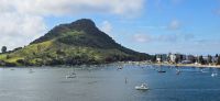 wunderschönes Tauranga (3)