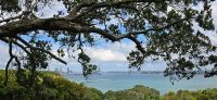 Impressionen Auckland (7) &ndash; &copy; Marcus Hasselhorst (Eberhardt TRAVEL)