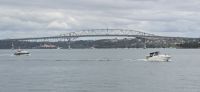 harbour Bridge &ndash; &copy; Marcus Hasselhorst (Eberhardt TRAVEL)