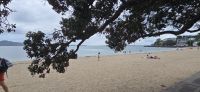 Mission Bay &ndash; &copy; Marcus Hasselhorst (Eberhardt TRAVEL)