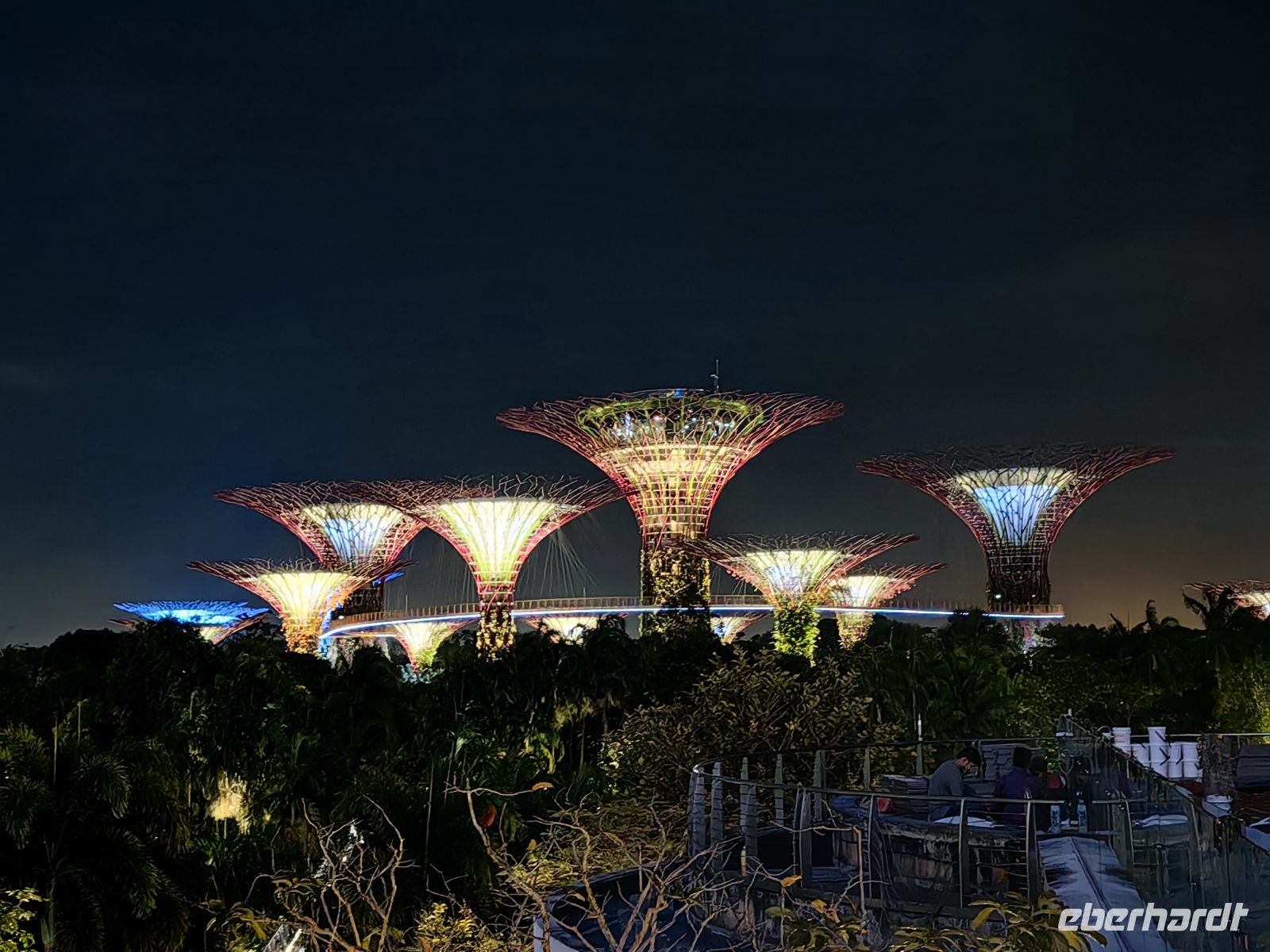 Die Supertrees sind besonders am Abend eine Augenweide &ndash; &copy; Simone Willner (Eberhardt TRAVEL)