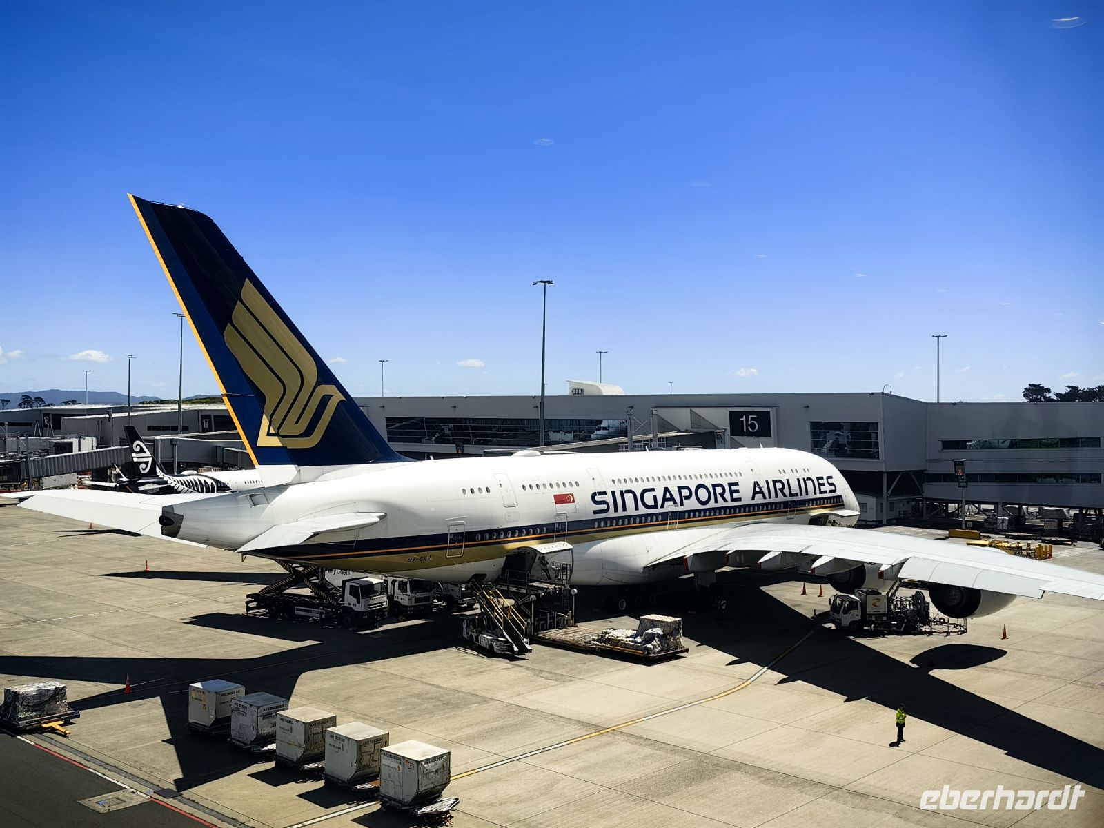 Die Singapur Airlines bringt uns nach Deutschland zurück  &ndash; &copy; Simone Willner (Eberhardt TRAVEL)