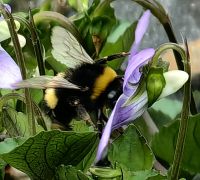 Botanischer Garten Wellington  &ndash; &copy; Simone Willner (Eberhardt TRAVEL)
