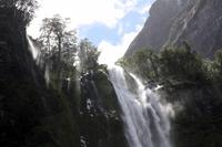 Stirling Falls, Milford Sound &ndash; &copy; Anna Stiebing (Eberhardt TRAVEL)