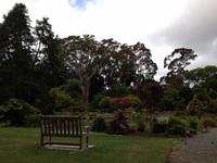 Botanischer Garten Christchurch &ndash; &copy; Anna Stiebing (Eberhardt TRAVEL)