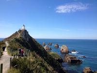 Catlins, Nugget Point &ndash; &copy; Anna Stiebing (Eberhardt TRAVEL)