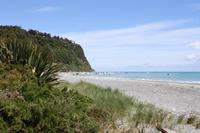 Strand bei Okarito &ndash; &copy; Anna Stiebing (Eberhardt TRAVEL)
