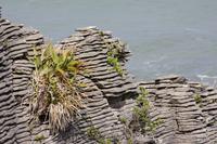 Pancake Rocks, Punakaiki &ndash; &copy; Anna Stiebing (Eberhardt TRAVEL)