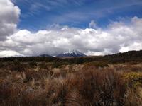 Mount Ngauruhoe &ndash; &copy; Anna Stiebing (Eberhardt TRAVEL)