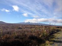 Mount Ruapehu &ndash; &copy; Anna Stiebing (Eberhardt TRAVEL)