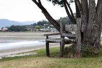 Tairua, Coromandel &ndash; &copy; Anna Stiebing (Eberhardt TRAVEL)