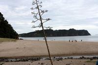 Hot Water Beach &ndash; &copy; Anna Stiebing (Eberhardt TRAVEL)