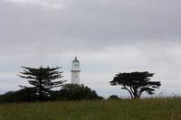Tiritiri Matangi &ndash; &copy; Anna Stiebing (Eberhardt TRAVEL)