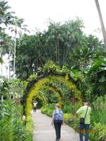 IMG_2279 Besuch im Botanischen Garten von Singapur &ndash; &copy; Johanna Vogt (Eberhardt TRAVEL)
