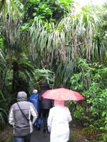IMG_2302 Pancake Rocks in Punakaiki &ndash; &copy; Johanna Vogt (Eberhardt TRAVEL)