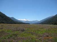 IMG_2367 Der Blick ins Haast Valley &ndash; &copy; Johanna Vogt (Eberhardt TRAVEL)