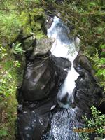 IMG_2403 The Chasm - Milford Sound &ndash; &copy; Johanna Vogt (Eberhardt TRAVEL)