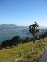 IMG_2437 Entlang der Küste von Dunedin &ndash; &copy; Johanna Vogt (Eberhardt TRAVEL)