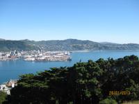 IMG_2543 Auf dem Mount Victoria von Wellington &ndash; &copy; Johanna Vogt (Eberhardt TRAVEL)