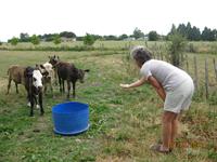 IMG_2703 Zum Barbecue auf der Rosevale Farm &ndash; &copy; Johanna Vogt (Eberhardt TRAVEL)