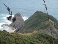 IMG_2760 Cape Reinga &ndash; &copy; Johanna Vogt (Eberhardt TRAVEL)