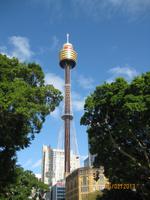 IMG_2869 Der Sydney Tower &ndash; &copy; Johanna Vogt (Eberhardt TRAVEL)
