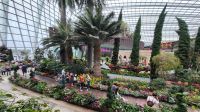 Rundreise Neuseeland - Flower Dome im Gardens by the Bay in Singapur &ndash; &copy; Franziska Bergmann (Eberhardt TRAVEL)