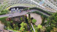 Rundreise Neuseeland - Cloud Forest Dome im Gardens by the Bay in Singapur &ndash; &copy; Franziska Bergmann (Eberhardt TRAVEL)