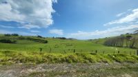 Rundreise Neuseeland - Fahrt Richtung Norden &ndash; &copy; Franziska Bergmann (Eberhardt TRAVEL)