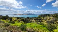 Rundreise Neuseeland - Stopp an der Bucht von Opononi &ndash; &copy; Franziska Bergmann (Eberhardt TRAVEL)