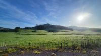 Rundreise Neuseeland - Ausflug zum Cape Reinga &ndash; &copy; Franziska Bergmann (Eberhardt TRAVEL)
