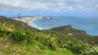 Rundreise Neuseeland - Ausflug zum Cape Reinga &ndash; &copy; Franziska Bergmann (Eberhardt TRAVEL)