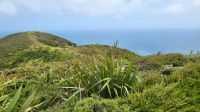 Rundreise Neuseeland - Ausflug zum Cape Reinga &ndash; &copy; Franziska Bergmann (Eberhardt TRAVEL)