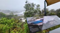 Rundreise Neuseeland - Heiße Quellen & Geysire in Te Puia &ndash; &copy; Franziska Bergmann (Eberhardt TRAVEL)
