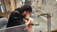 Rundreise Neuseeland - Maorizentrum in Te Puia &ndash; &copy; Franziska Bergmann (Eberhardt TRAVEL)