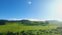 Rundreise Neuseeland - unterwegs nach Wellington &ndash; &copy; Franziska Bergmann (Eberhardt TRAVEL)