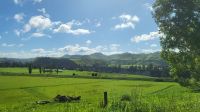 Rundreise Neuseeland - unterwegs nach Wellington &ndash; &copy; Franziska Bergmann (Eberhardt TRAVEL)