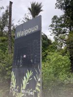 Waipoua &ndash; &copy; Mareike Schmidt (Eberhardt TRAVEL)