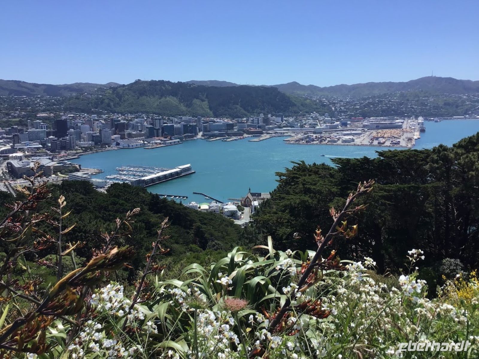 9-007 Wellington &ndash; &copy; Jens Petzoldt (Eberhardt TRAVEL)