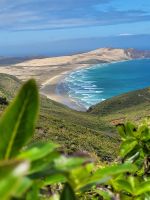 4-004 Ausflug nach Cape Reinga &ndash; &copy; Jens Petzoldt (Eberhardt TRAVEL)