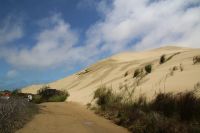 4-006 Ausflug nach Cape Reinga (Sanddünen) &ndash; &copy; Jens Petzoldt (Eberhardt TRAVEL)