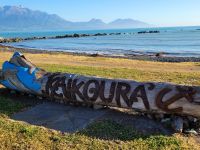 11-001 Bei Kaikura &ndash; &copy; Jens Petzoldt (Eberhardt TRAVEL)