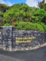 17-004 Punakaiki - Pancake Rocks &ndash; &copy; Jens Petzoldt (Eberhardt TRAVEL)