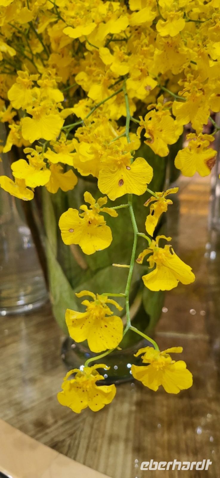 03 die Tänzerinnen &ndash; &copy; Susanne Schirmann (Eberhardt TRAVEL)