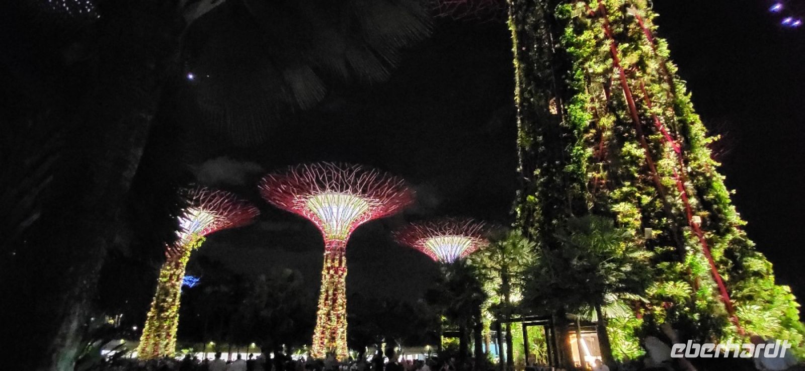 17 supertrees &ndash; &copy; Susanne Schirmann (Eberhardt TRAVEL)